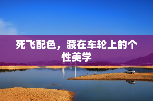 死飞配色，藏在车轮上的个性美学