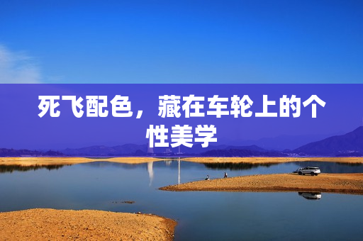 死飞配色，藏在车轮上的个性美学
