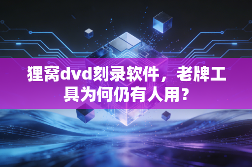 狸窝dvd刻录软件,老牌工具为何仍有人用?