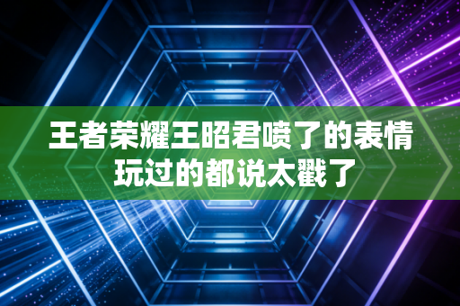 王者荣耀王昭君喷了的表情 玩过的都说太戳了