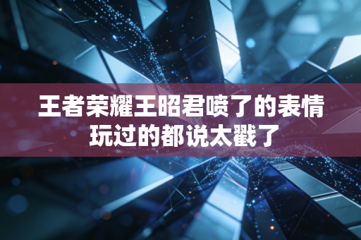 王者荣耀王昭君喷了的表情 玩过的都说太戳了