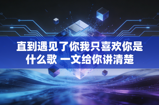 直到遇见了你我只喜欢你是什么歌 一文给你讲清楚