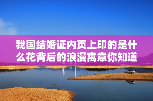 我国结婚证内页上印的是什么花背后的浪漫寓意你知道吗