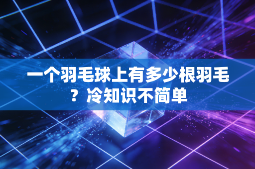 一个羽毛球上有多少根羽毛？冷知识不简单