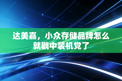 达美嘉，小众存储品牌怎么就戳中装机党了
