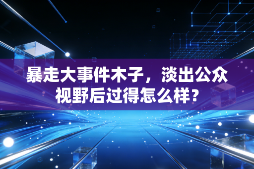 暴走大事件木子，淡出公众视野后过得怎么样？