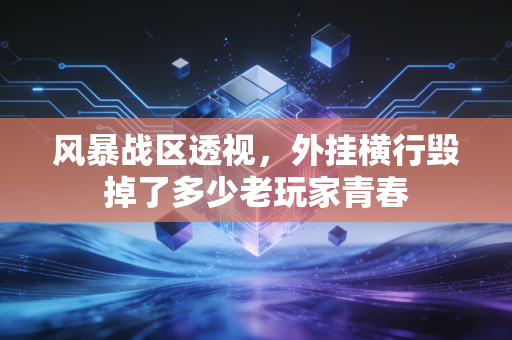 风暴战区透视，外挂横行毁掉了多少老玩家青春