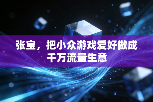 张宝，把小众游戏爱好做成千万流量生意