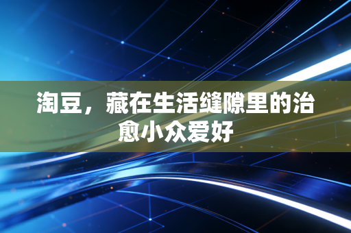 淘豆，藏在生活缝隙里的治愈小众爱好