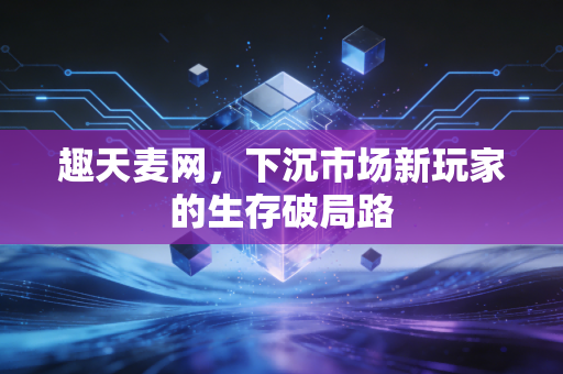 趣天麦网，下沉市场新玩家的生存破局路