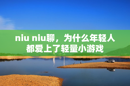 niu niu聊，为什么年轻人都爱上了轻量小游戏