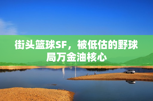 街头篮球SF，被低估的野球局万金油核心