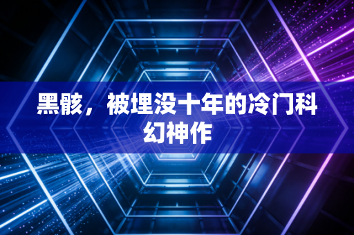 黑骸，被埋没十年的冷门科幻神作
