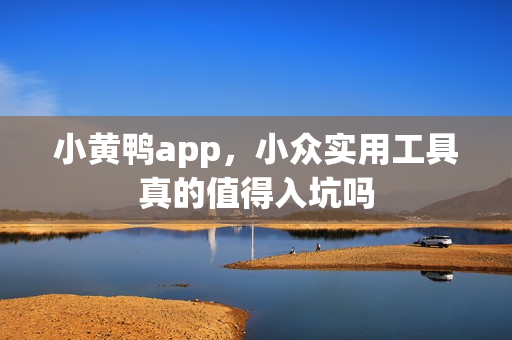 小黄鸭app，小众实用工具真的值得入坑吗