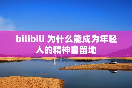 bilibili 为什么能成为年轻人的精神自留地