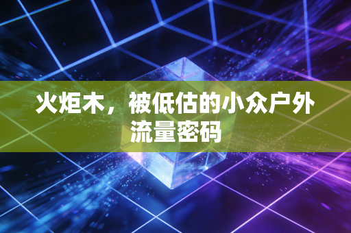 火炬木，被低估的小众户外流量密码