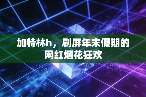 加特林h，刷屏年末假期的网红烟花狂欢