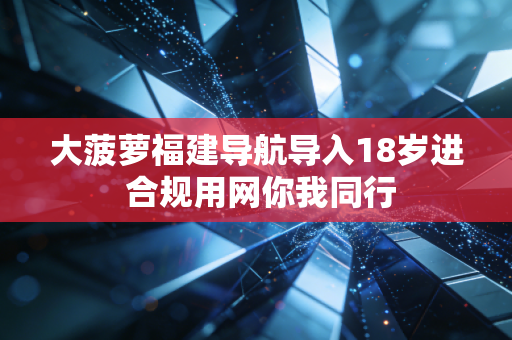 大菠萝福建导航导入18岁进 合规用网你我同行
