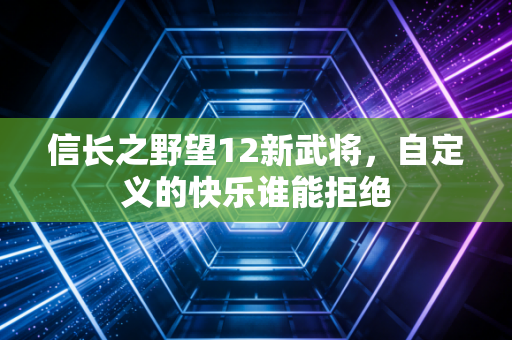 信长之野望12新武将，自定义的快乐谁能拒绝
