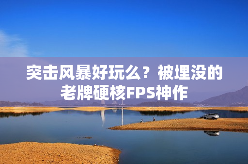 突击风暴好玩么？被埋没的老牌硬核FPS神作