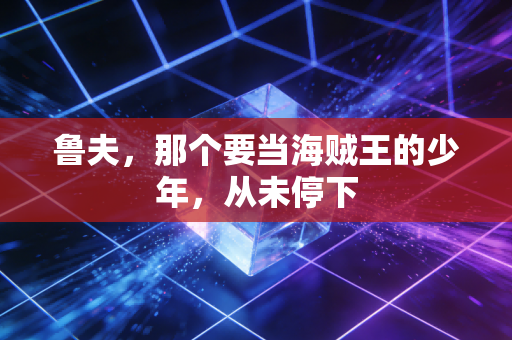 鲁夫，那个要当海贼王的少年，从未停下