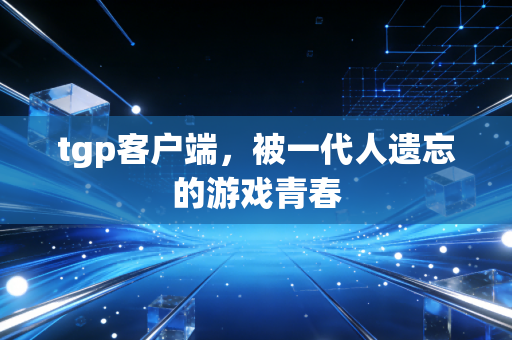 tgp客户端，被一代人遗忘的游戏青春