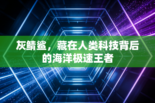 灰鲭鲨，藏在人类科技背后的海洋极速王者
