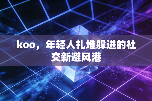 koo，年轻人扎堆躲进的社交新避风港