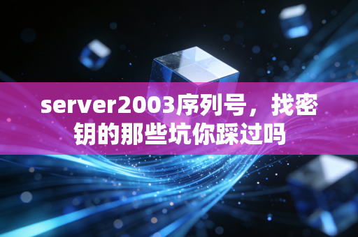 server2003序列号，找密钥的那些坑你踩过吗