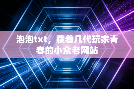 泡泡txt，藏着几代玩家青春的小众老网站