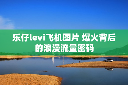 乐仔levi飞机图片 爆火背后的浪漫流量密码