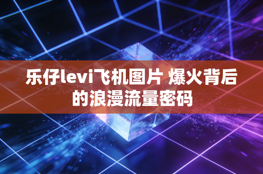 乐仔levi飞机图片 爆火背后的浪漫流量密码
