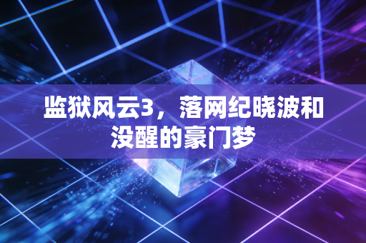 监狱风云3，落网纪晓波和没醒的豪门梦