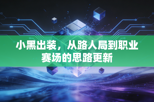 小黑出装，从路人局到职业赛场的思路更新