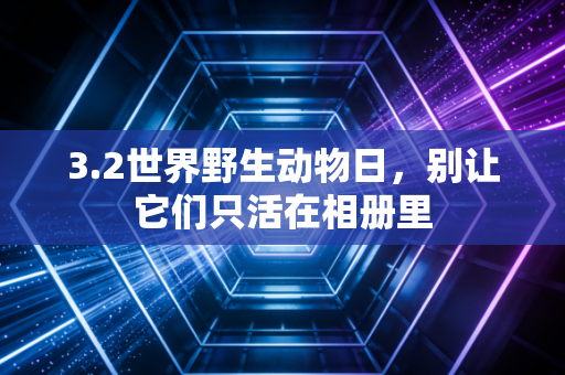 3.2世界野生动物日，别让它们只活在相册里