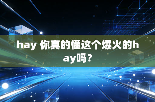 hay 你真的懂这个爆火的hay吗？