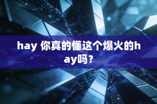 hay 你真的懂这个爆火的hay吗？