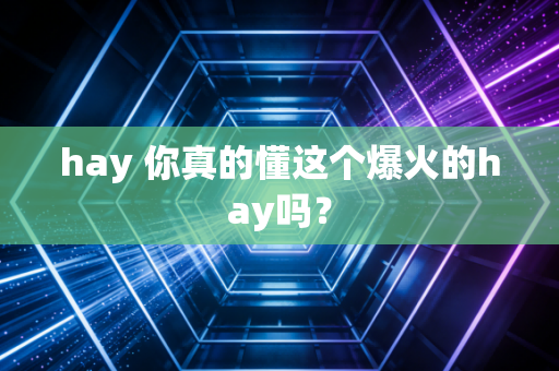 hay 你真的懂这个爆火的hay吗？