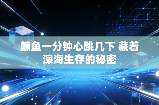 鲸鱼一分钟心跳几下 藏着深海生存的秘密