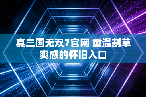 真三国无双7官网 重温割草爽感的怀旧入口
