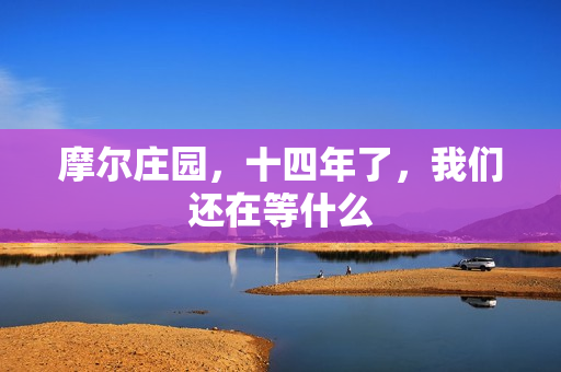 摩尔庄园，十四年了，我们还在等什么