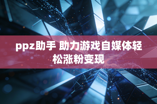 ppz助手 助力游戏自媒体轻松涨粉变现