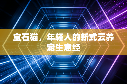 宝石猫，年轻人的新式云养宠生意经