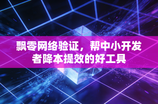飘零网络验证，帮中小开发者降本提效的好工具