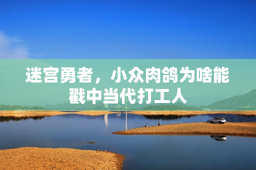 迷宫勇者，小众肉鸽为啥能戳中当代打工人