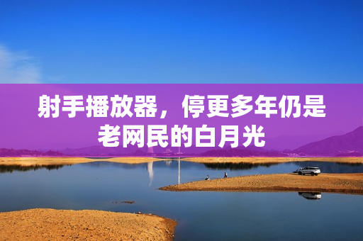 射手播放器，停更多年仍是老网民的白月光