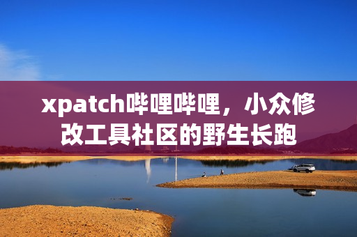 xpatch哔哩哔哩，小众修改工具社区的野生长跑