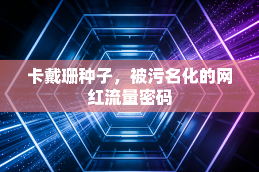 卡戴珊种子，被污名化的网红流量密码