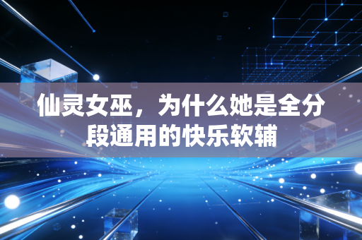 仙灵女巫，为什么她是全分段通用的快乐软辅