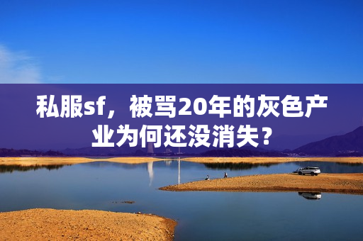 私服sf，被骂20年的灰色产业为何还没消失？
